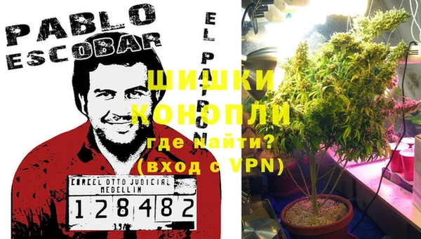 PSILOCYBIN Кулебаки
