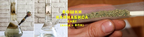 PSILOCYBIN Кулебаки