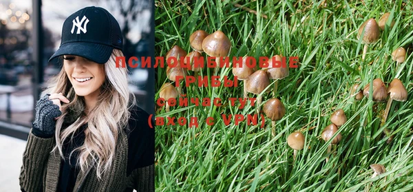 дистиллят марихуана Кукмор