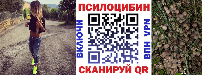 Купить закладки  Петухово  Галлюциногенные грибы Cubensis 